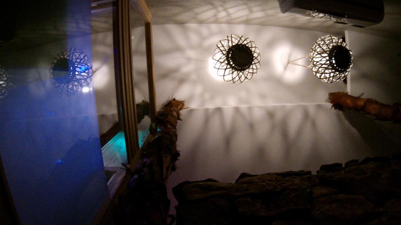 Homestay Egzotyczny Diamonds I Zanzi W Krainie Alicji Elk