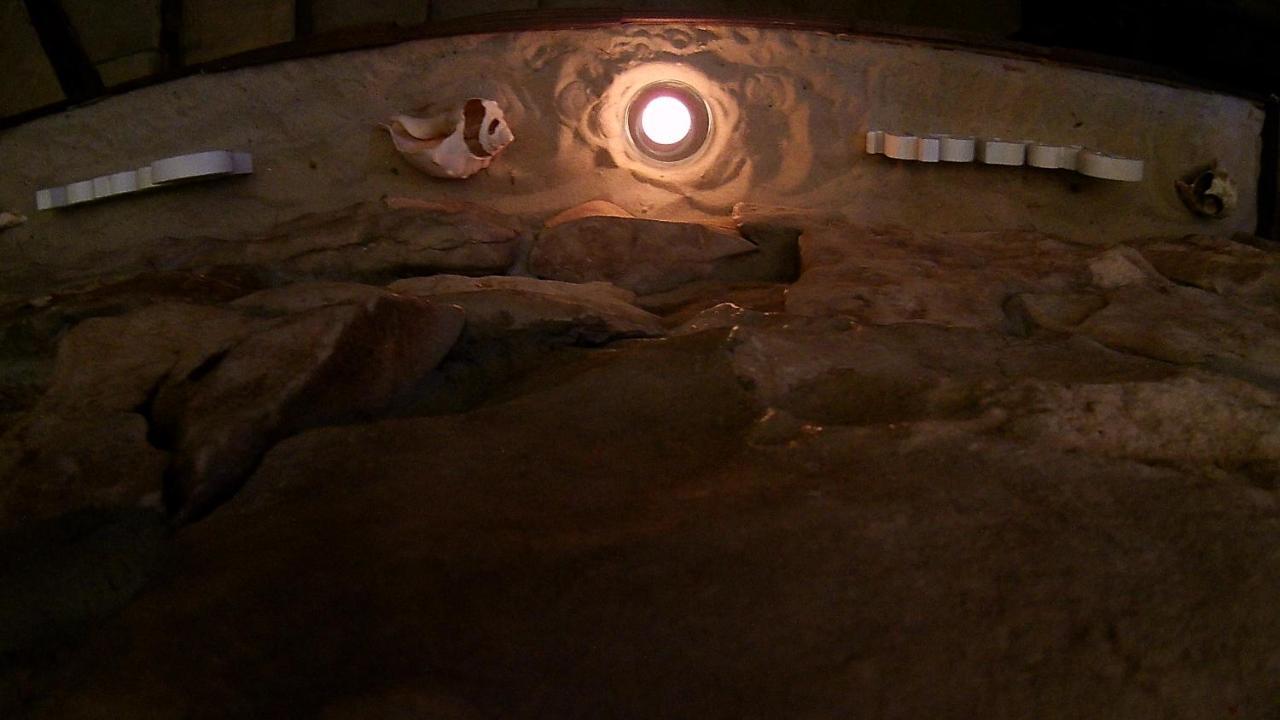 Egzotyczny Diamonds I Zanzi W Krainie Alicji Homestay Elk