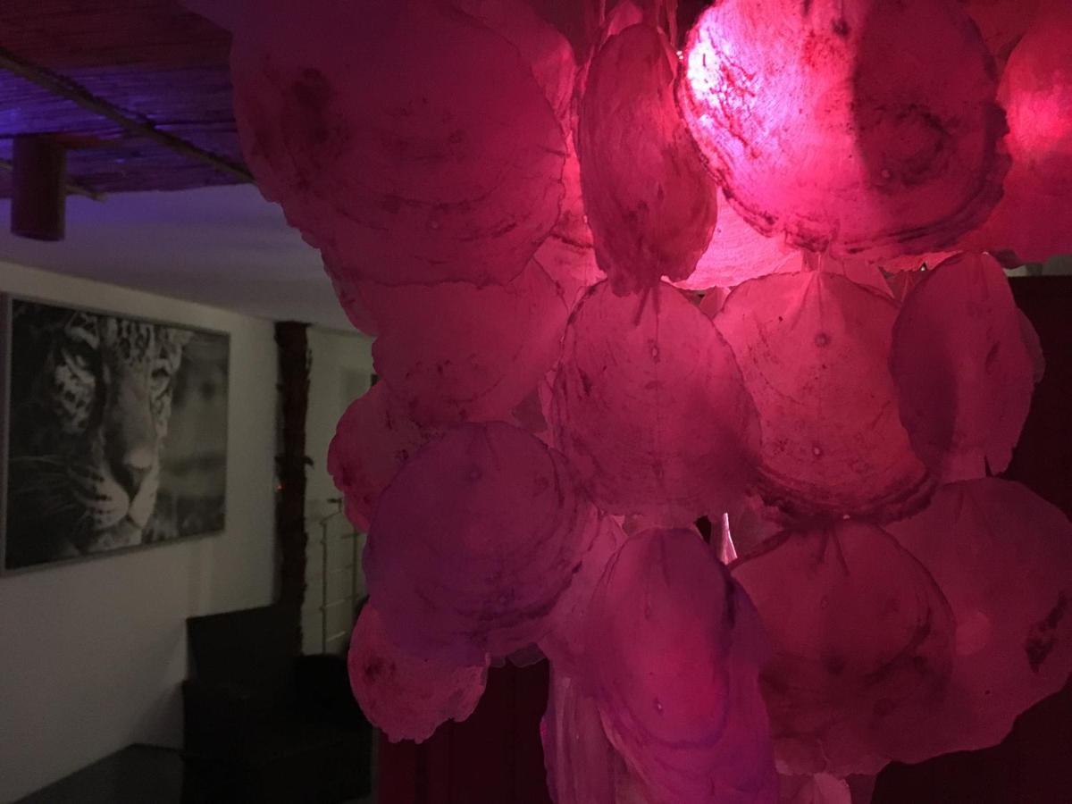 Homestay Egzotyczny Diamonds I Zanzi W Krainie Alicji